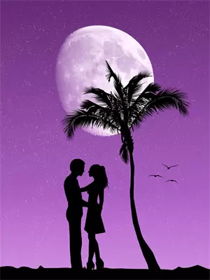 闪婚女总裁：契约娇妻夜难逃